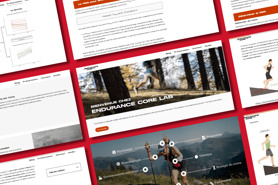 Simon Moinet rédaction web SEO à Niort